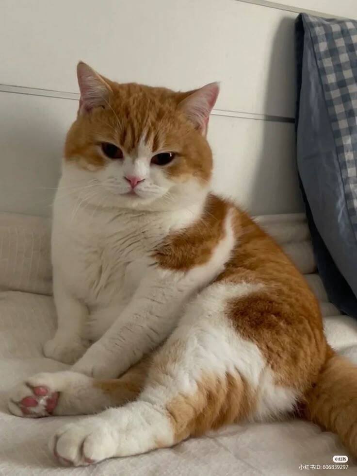 test2.jpg