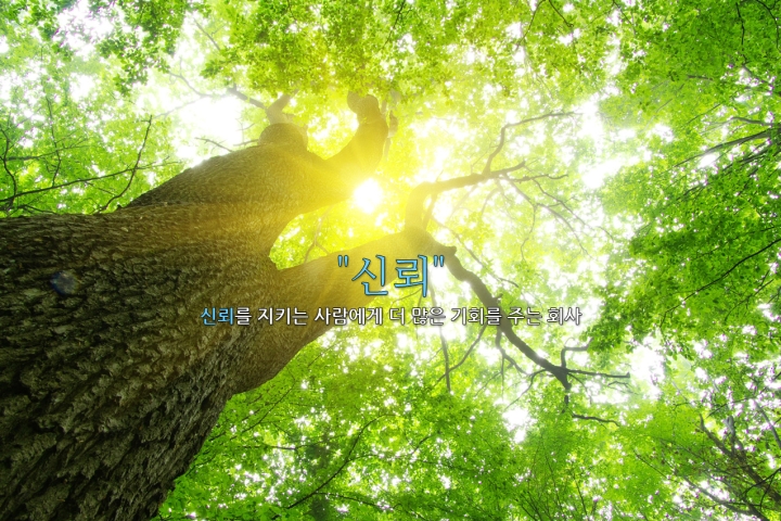제목